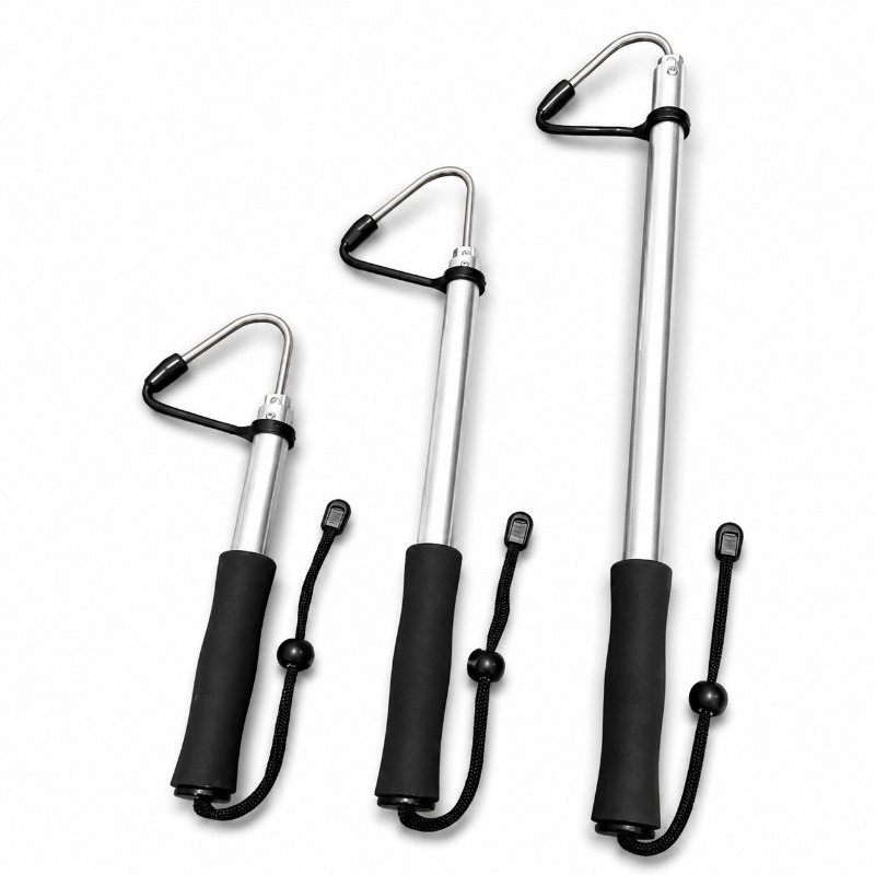 Telescopische vishaak met weer - Landing Net Telescopic recensie en prijs