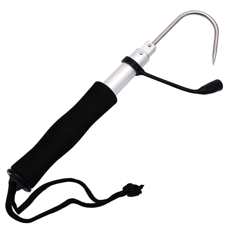 Telescopische vishaak met weer - Landing Net Telescopic recensie en prijs