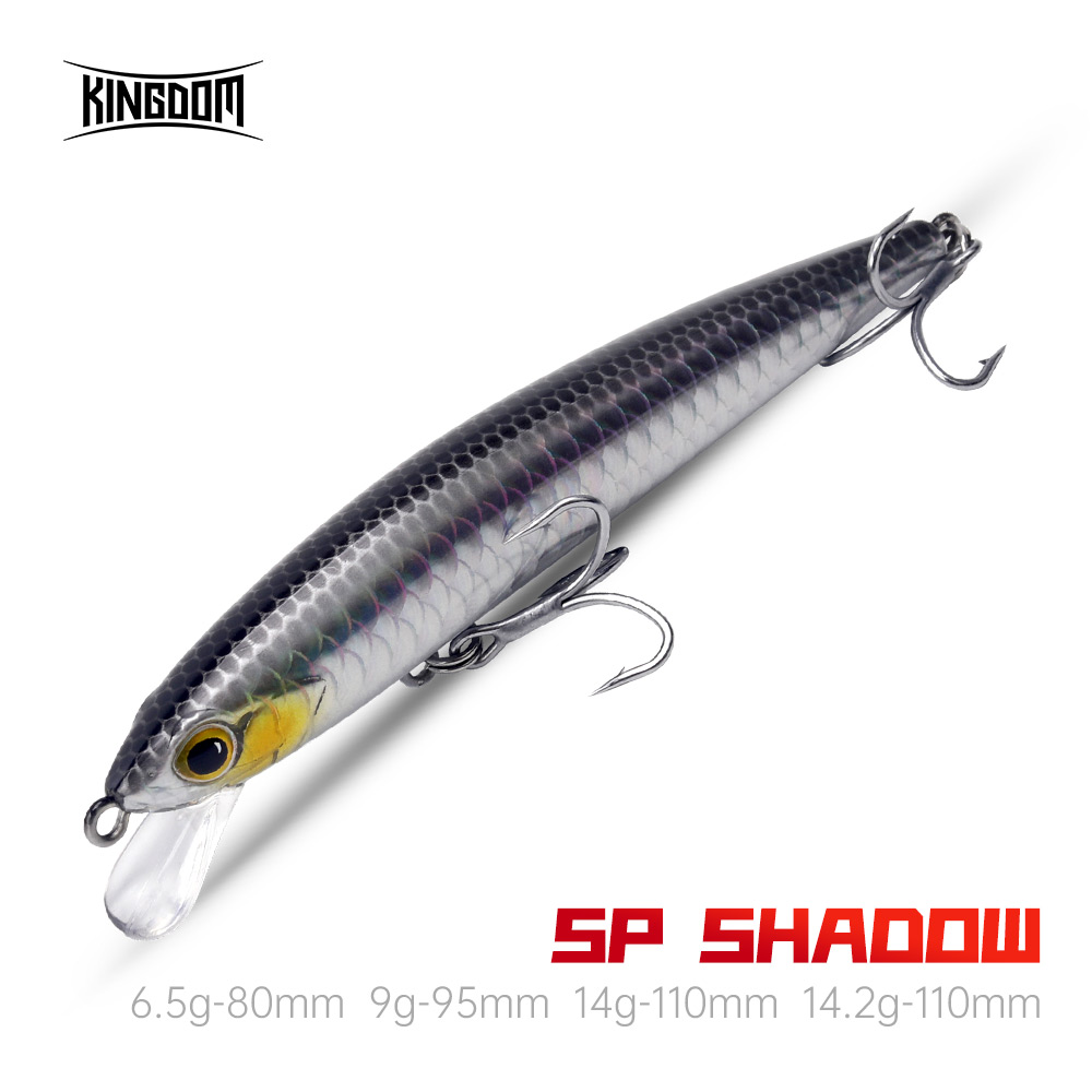 KONINKRIJK SP Shadow Suspendin - Fishing Equipment Daiwa recensie en prijs
